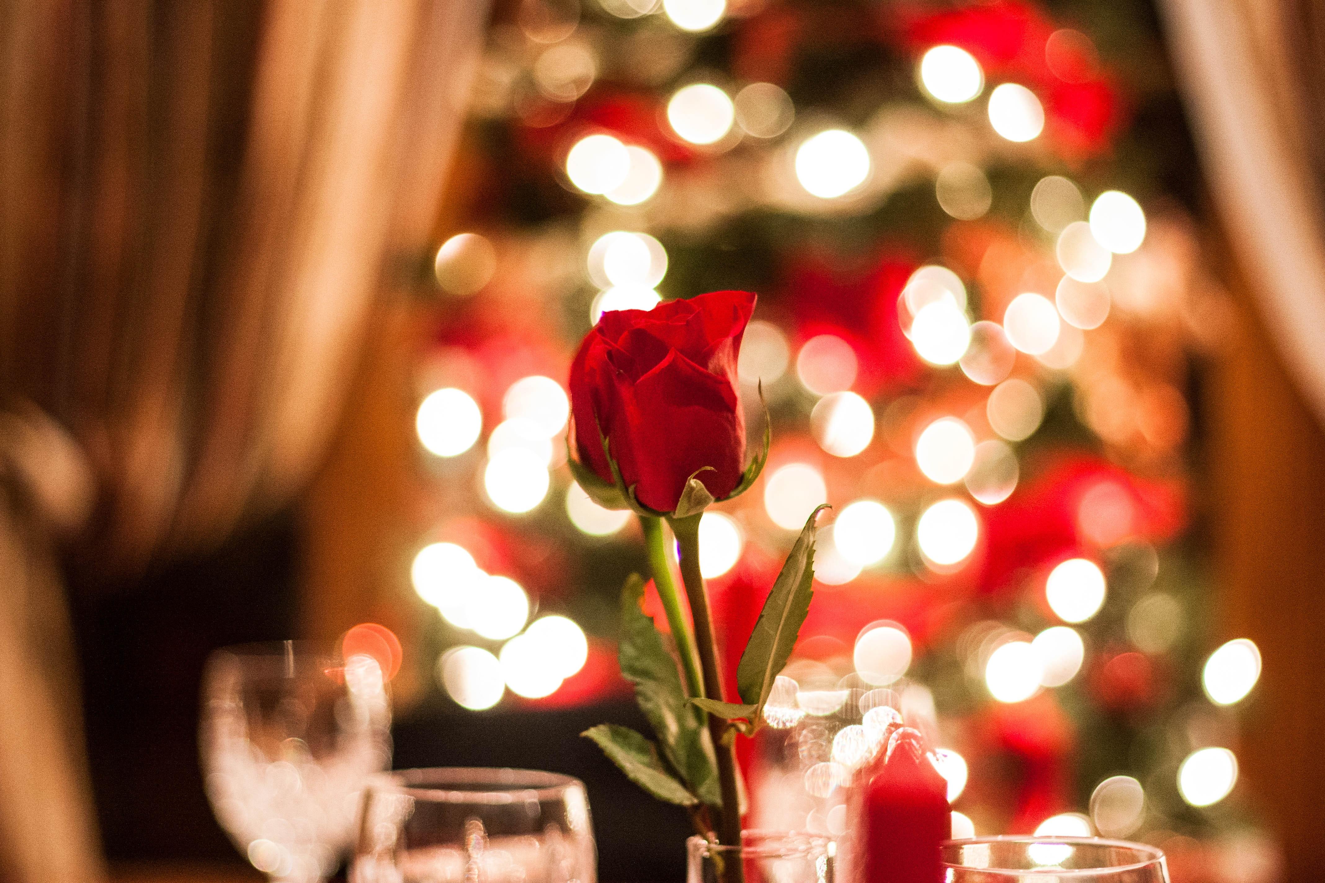 Top 4 Flower arrangements with Christmas flowers